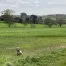 Spring Walk