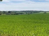 Wide green field under a blue sky with distant farms and a tree line on the horizon.