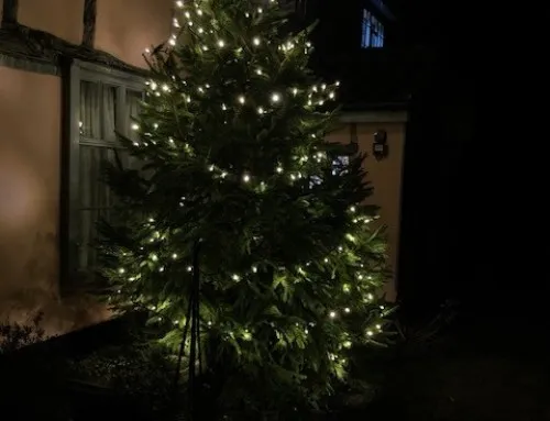Christmas 2025
