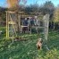 Corner Farm Dog Run