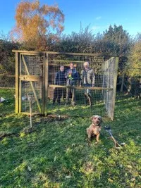 Corner Farm Dog Run