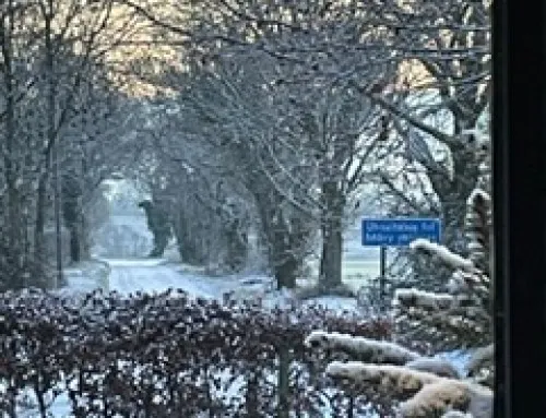 Suffolk in the Snow