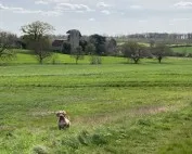 Spring Walk