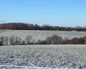 Suffolk countryside in the snow