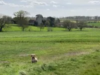 Spring Walk