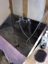 Dog friendly facilities
