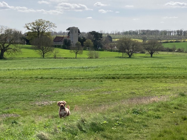 Spring Walk