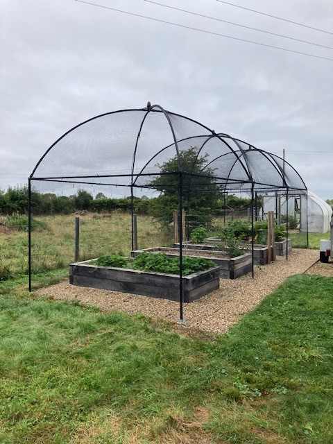 Corner Farm Fruit Cage