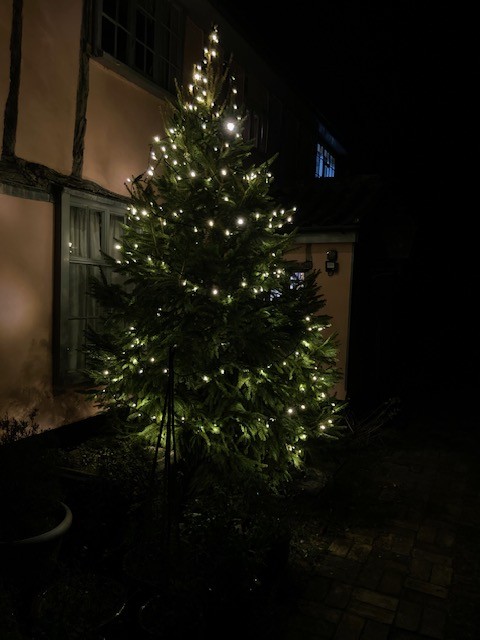 Corner Farm exterior farmhouse Christmas Tree